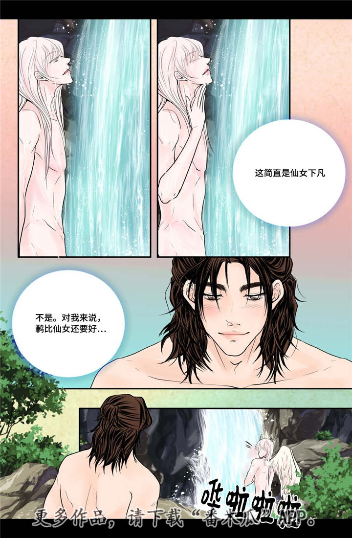 飞天之恋漫画,第54章：完结章4图
