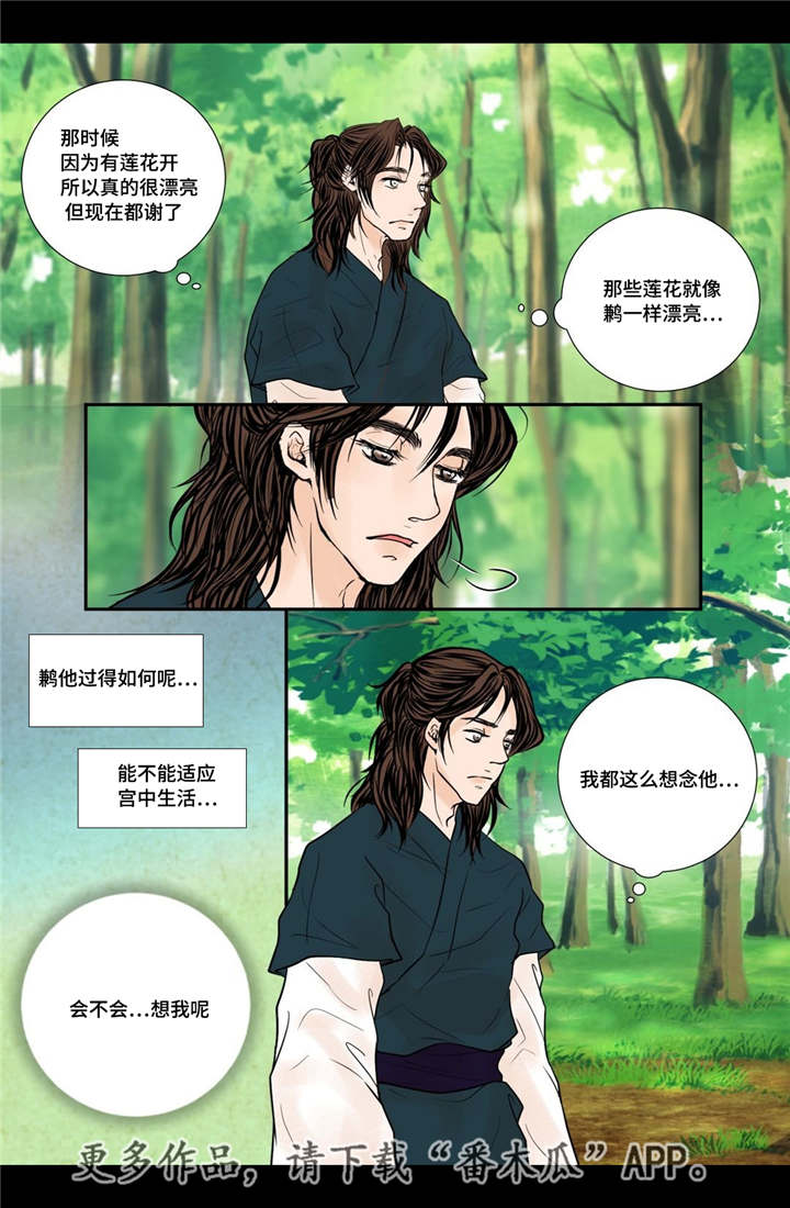 飞天之血漫画,第53章：找到真爱1图