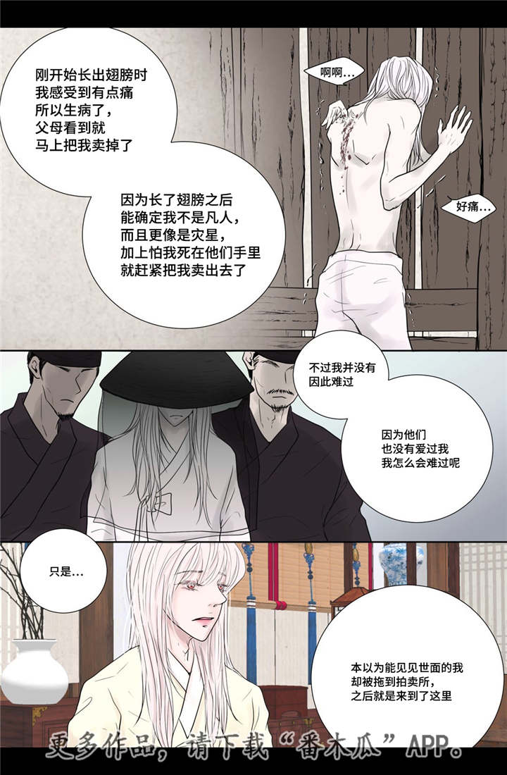 飞天之血漫画,第18章：牢牢抓住2图