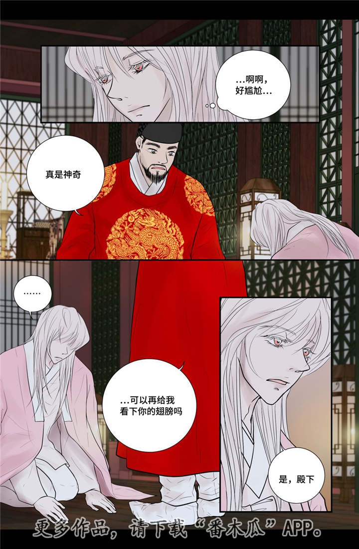 飞天之舞漫画,第51章：他的眼光5图
