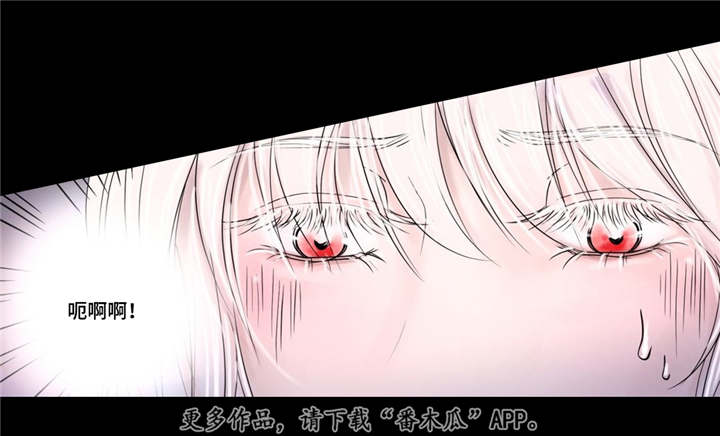 飞天之吻旅游景点在哪个城市漫画,第13章：爱不释手5图