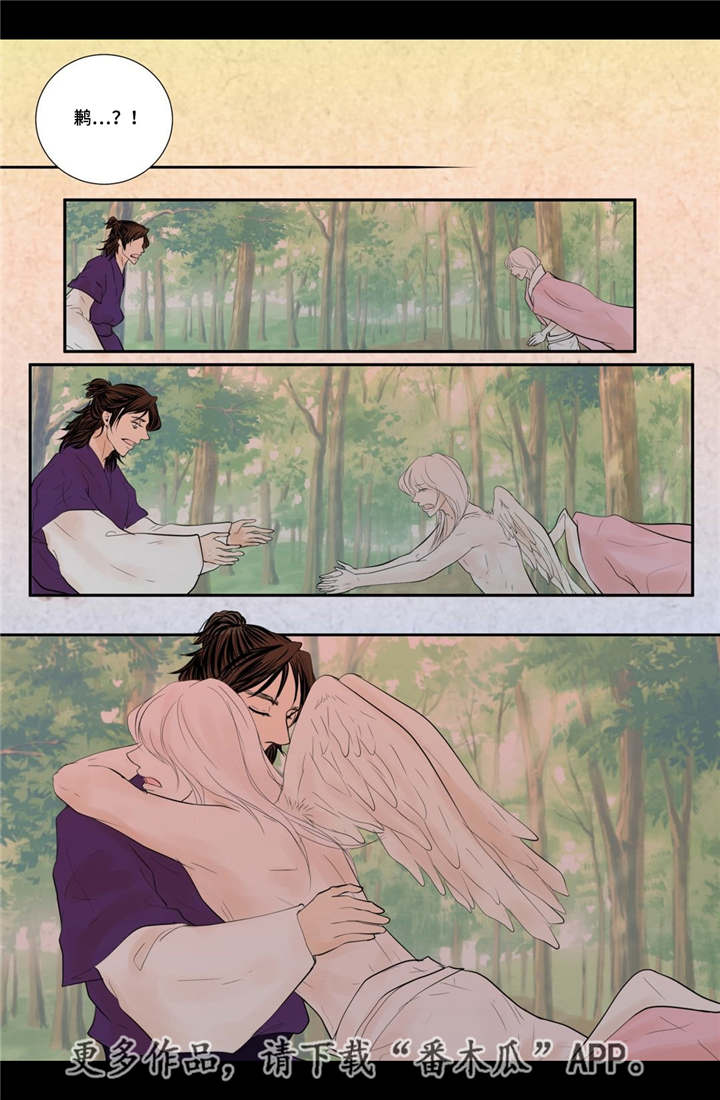 飞天之血漫画,第53章：找到真爱3图