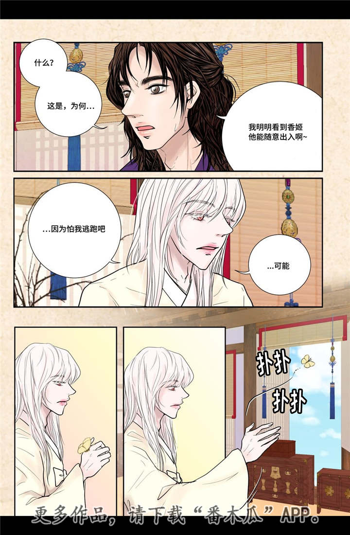 飞天之恋漫画,第16章：他的关心2图