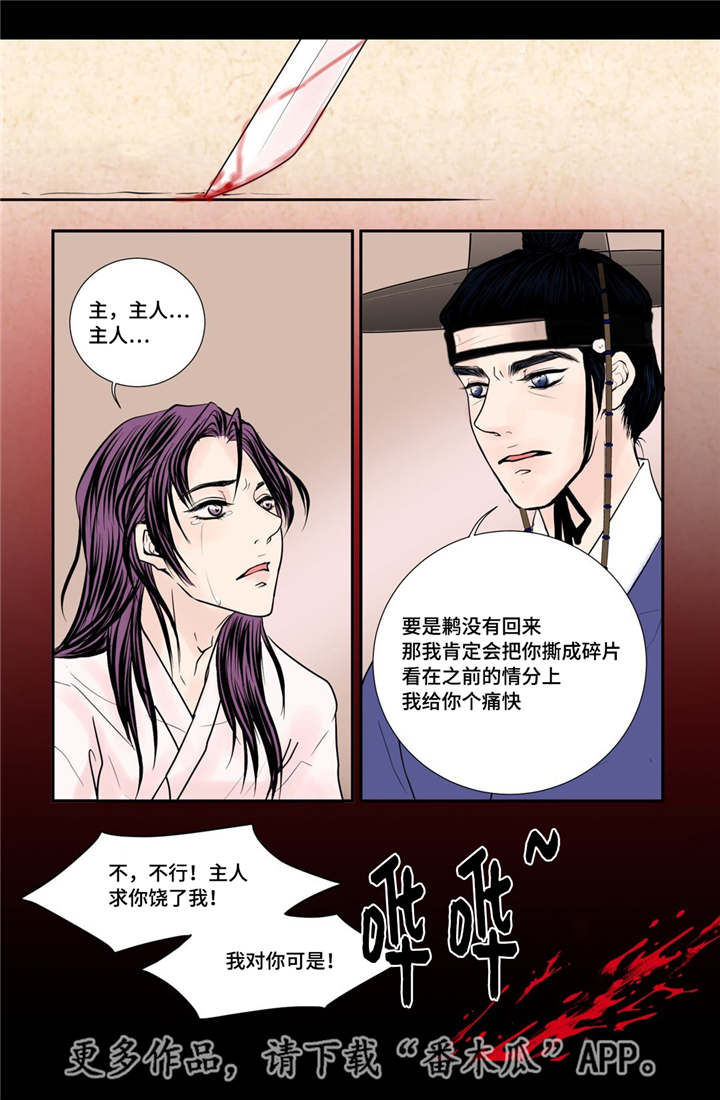 飞天之血漫画,第37章：幸福的事4图