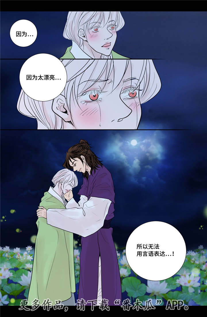 飞天之血漫画,第32章：无法表达5图