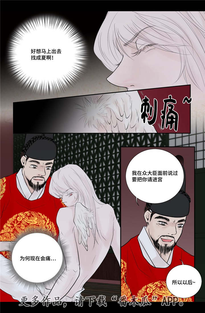 飞天之血漫画免费漫画,第52章：占为己有1图