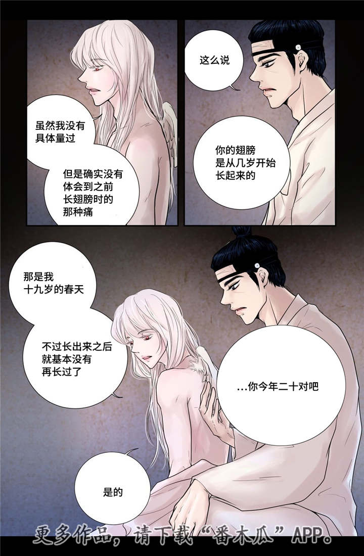 飞天之血漫画,第13章：爱不释手5图