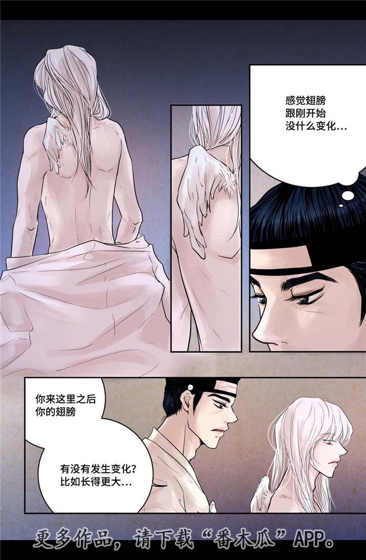 飞天之血漫画,第13章：爱不释手4图