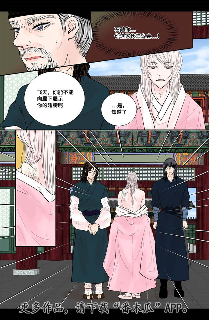 飞天之舞漫画,第51章：他的眼光2图