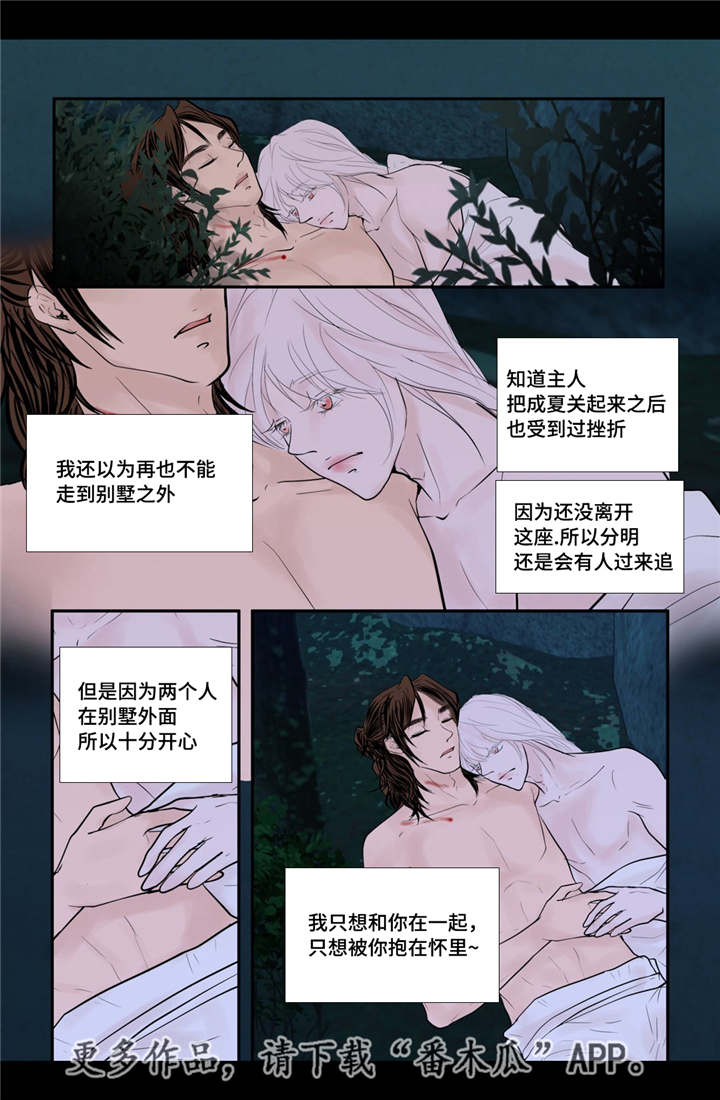 飞天之血漫画,第47章：我的愿望3图
