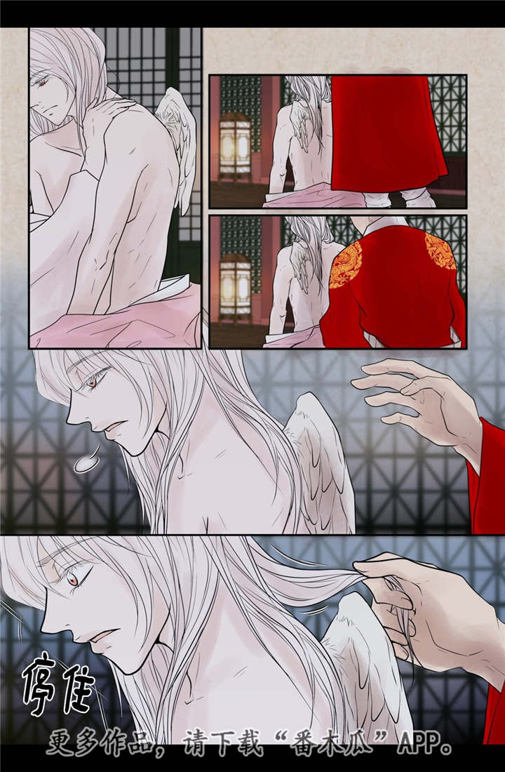 飞天之舞漫画,第51章：他的眼光1图