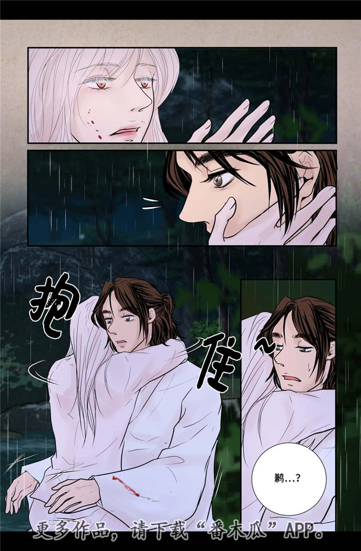 飞天之舞漫画,第46章：不能没你1图