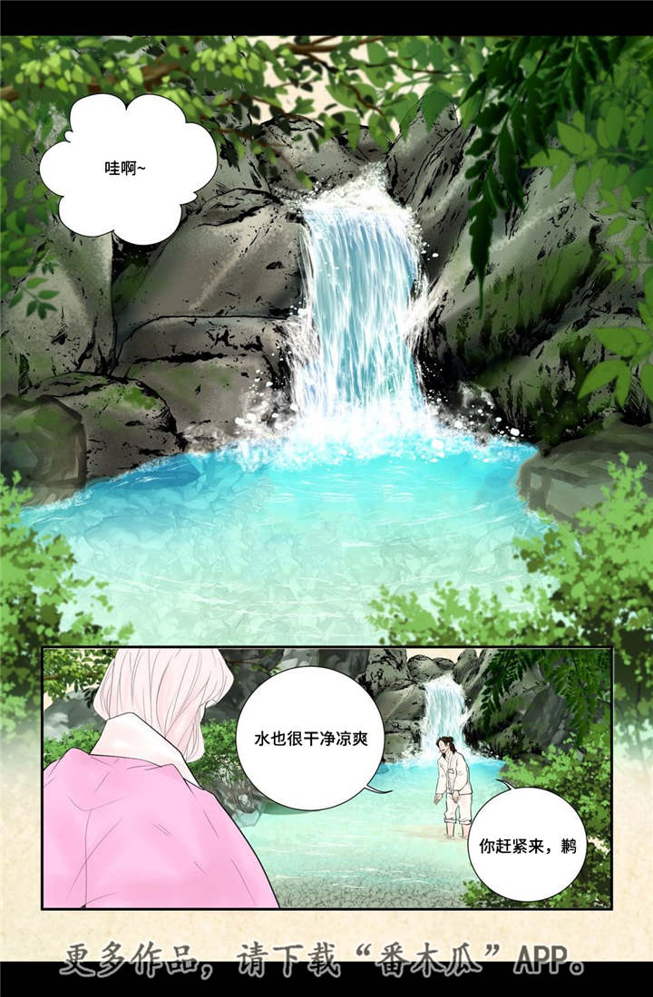 飞天之夜漫画,第54章：完结章5图