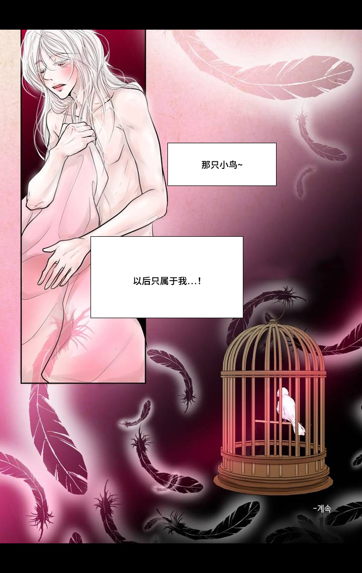 飞天之吻怎么走上去漫画,第2章：竞拍成功3图