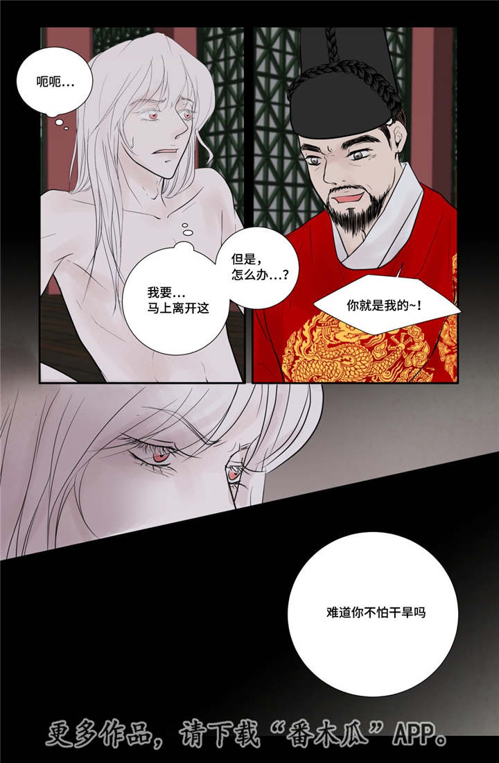飞天之血漫画免费漫画,第52章：占为己有2图