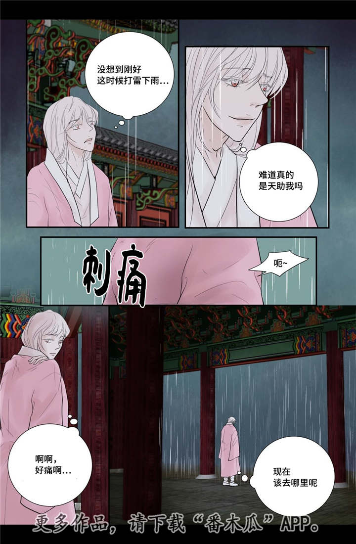 飞天之血漫画免费漫画,第52章：占为己有5图