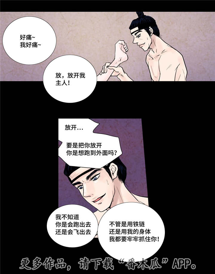 飞天之梦豆瓣漫画,第18章：牢牢抓住3图