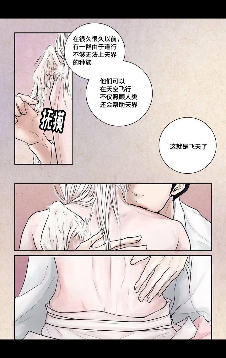 飞天之吻武隆仙女山漫画,第4章：很好玩啊1图