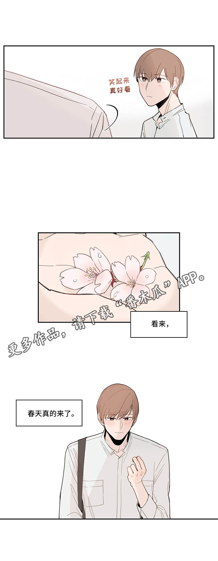 收下我的心意漫画,第16章：花瓣2图
