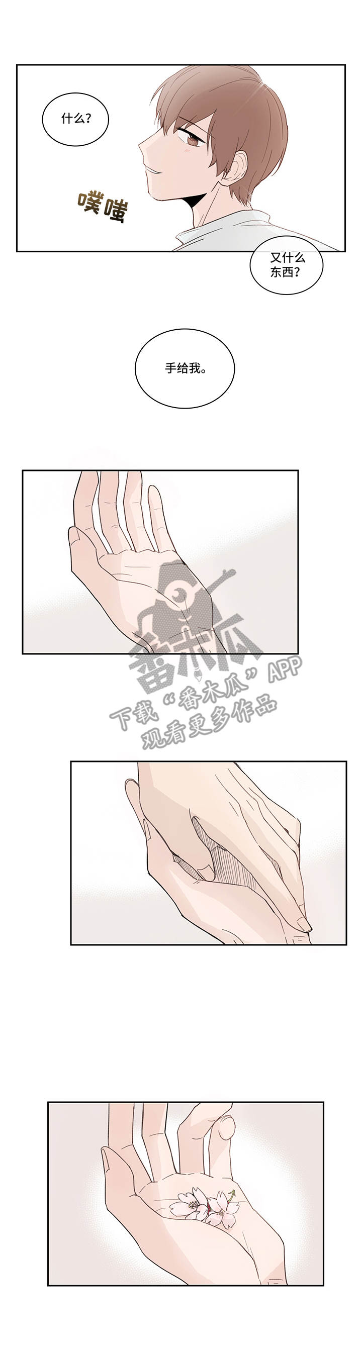 收下我的心意漫画,第16章：花瓣5图
