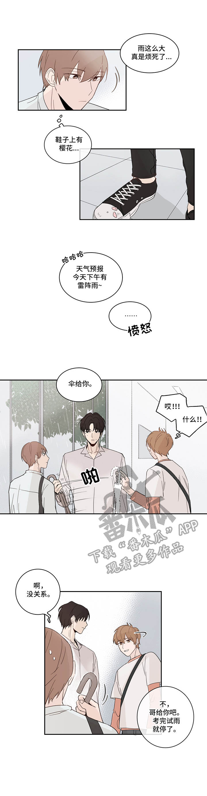 收下我的心意漫画,第16章：花瓣3图