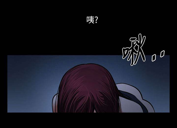 友真与银夏漫画,第12章：夜晚迷情1图