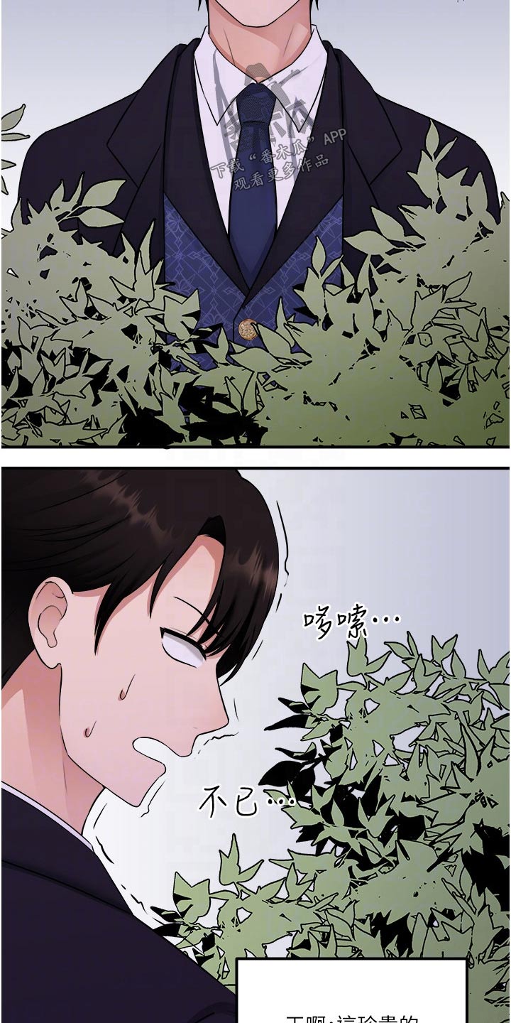 抖音精灵的妹妹漫画,第63章：家族1图