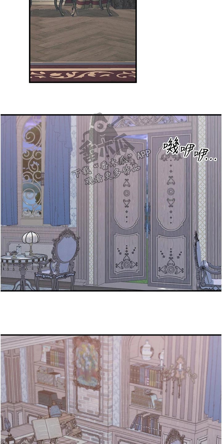 精灵妹抖漫画,第80章：书籍3图