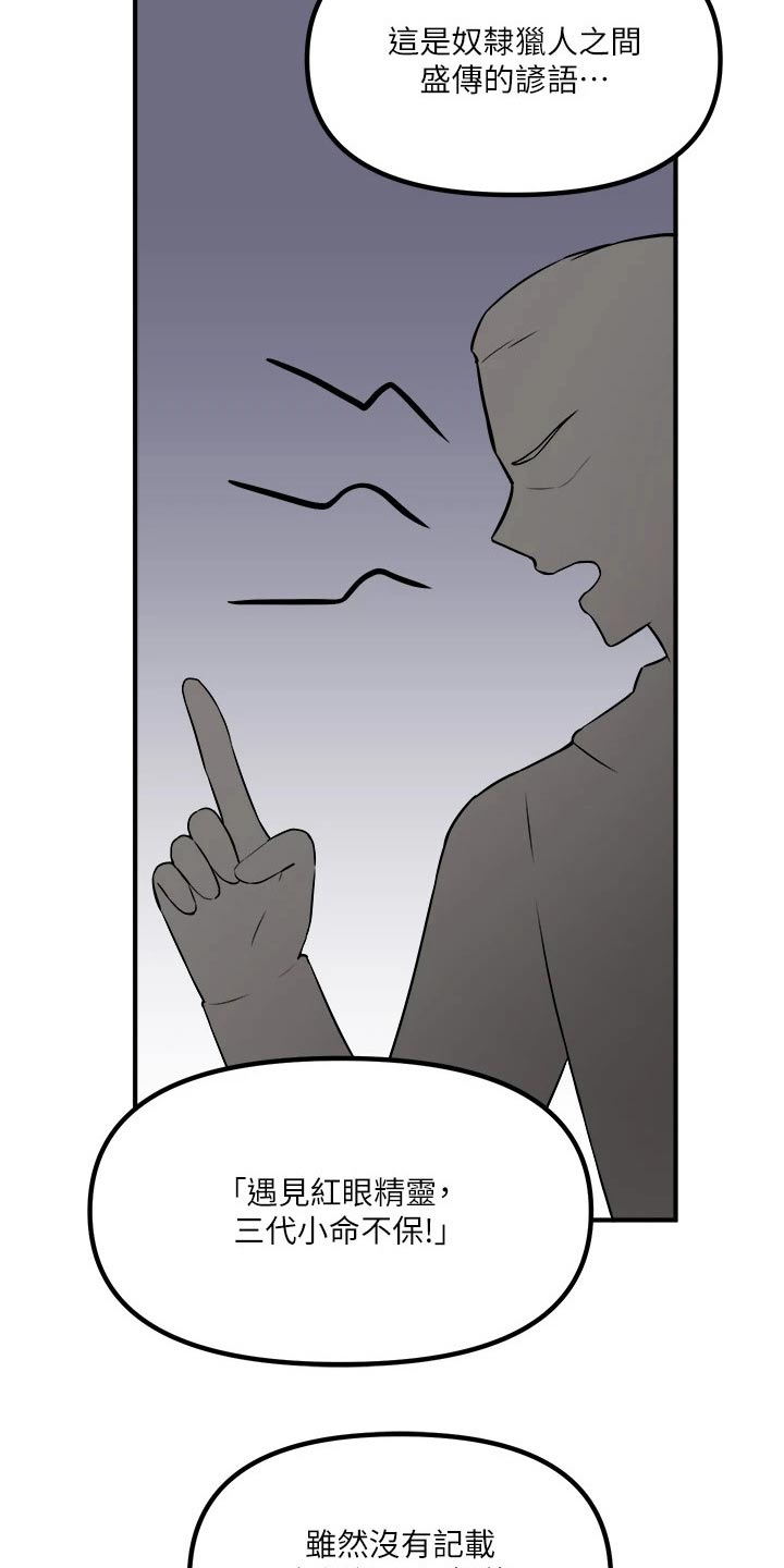 抖音精灵的妹妹漫画,第67章：情报3图