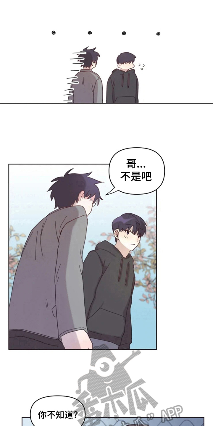 我的理想型男友漫画,第17章：记名字4图