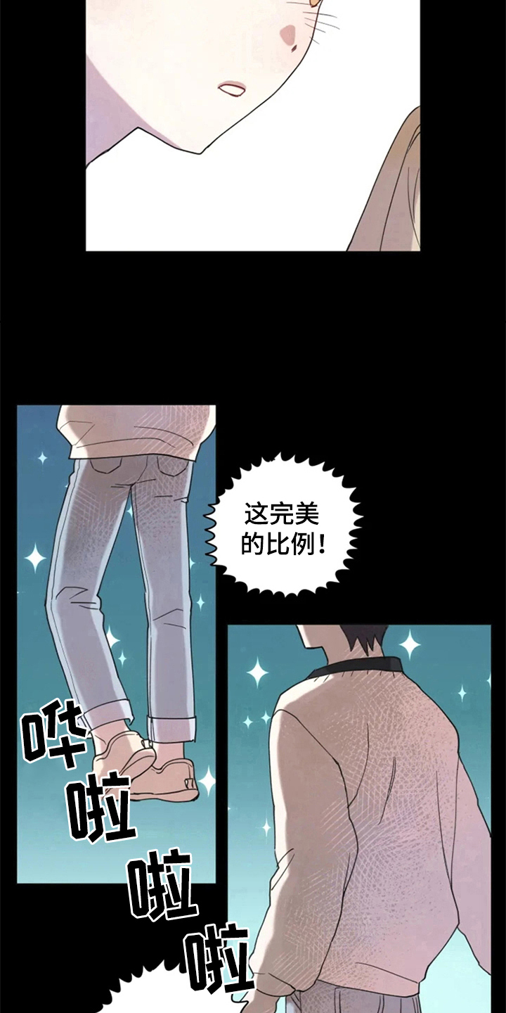 我的理想型男友漫画,第1章：追星1图