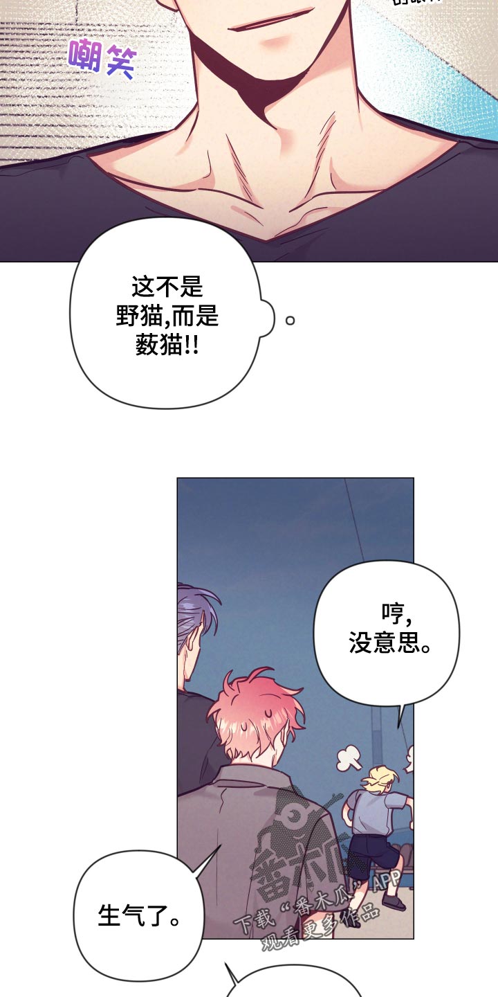 随行执事漫画,第122章：小野猫5图
