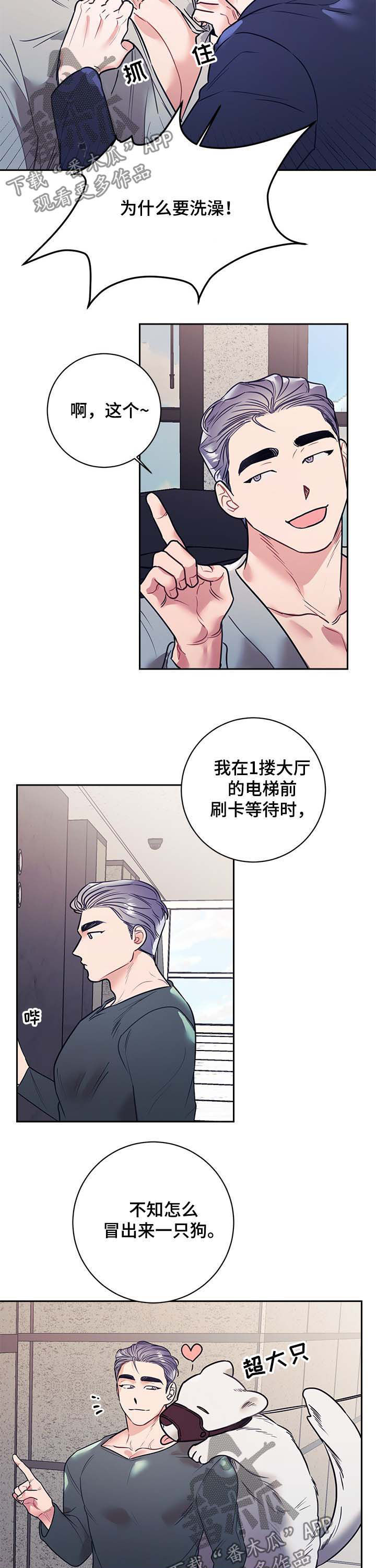 随行执事漫画,第21章：公主4图