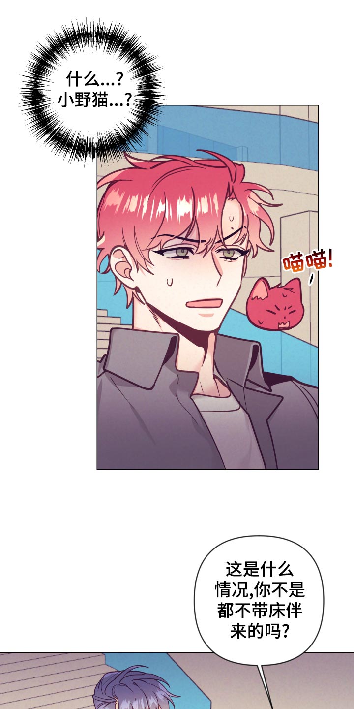 随行执事漫画,第122章：小野猫3图