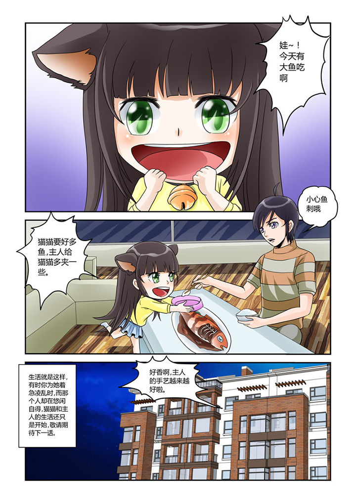 吾家猫漫画,第4章：猫猫丢了吗5图