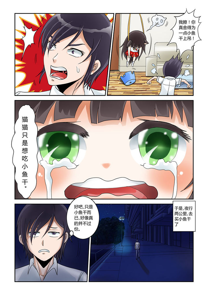 猫猫大人图片漫画,第1章：3图