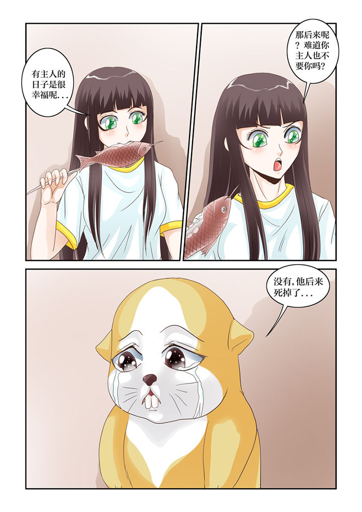 吾家猫漫画,第57章：招财进宝2图