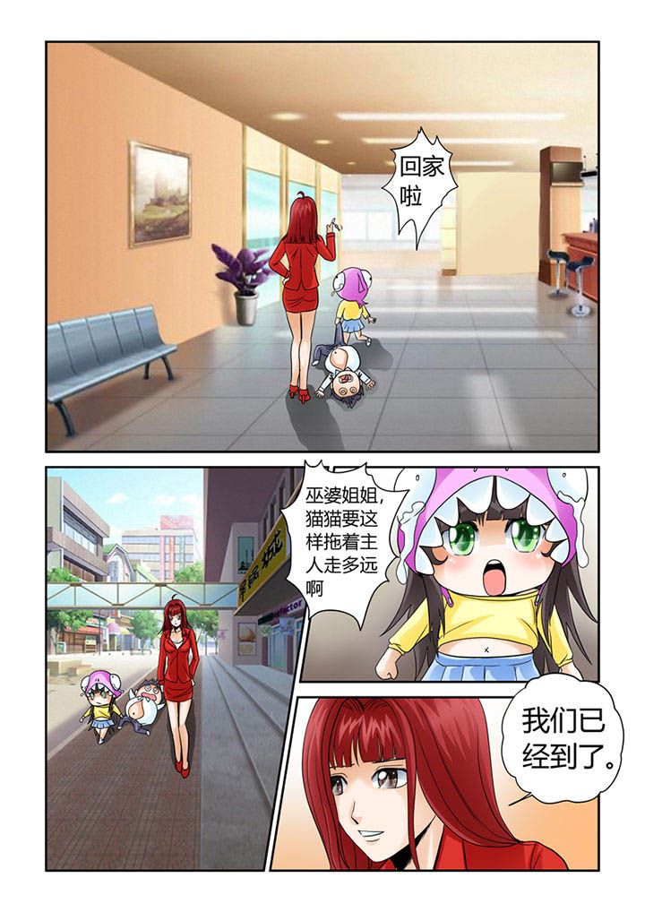 吾家猫猫大人漫画,第7章：初起风澜4图