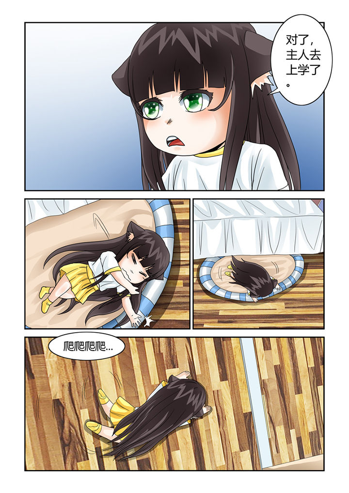 吾家猫猫大人漫画,第41章：猫猫的一天2图