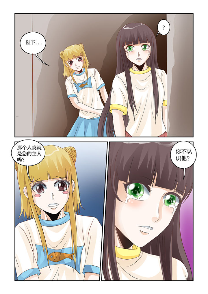 吾家猫猫大人漫画,第62章：误会1图