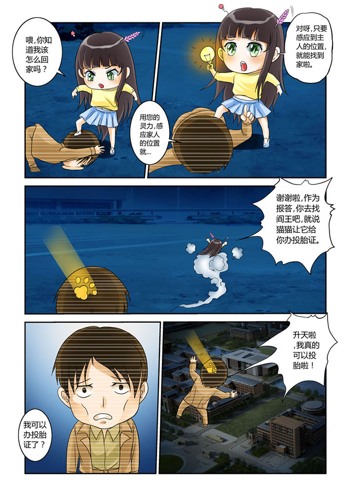 猫猫大人日文漫画,第4章：猫猫丢了吗5图