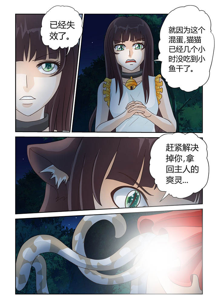 吾家猫漫画,第11章：树妖2图