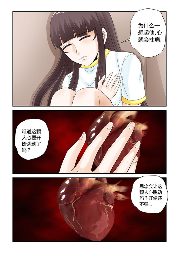 吾家猫猫大人漫画,第54章：流浪猫1图