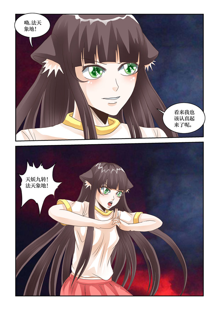 吾家猫猫大人漫画,第65章：激战4图