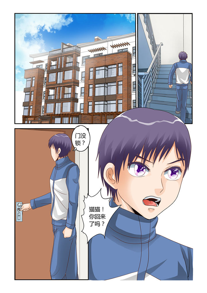 吾家猫猫大人漫画,第54章：流浪猫1图