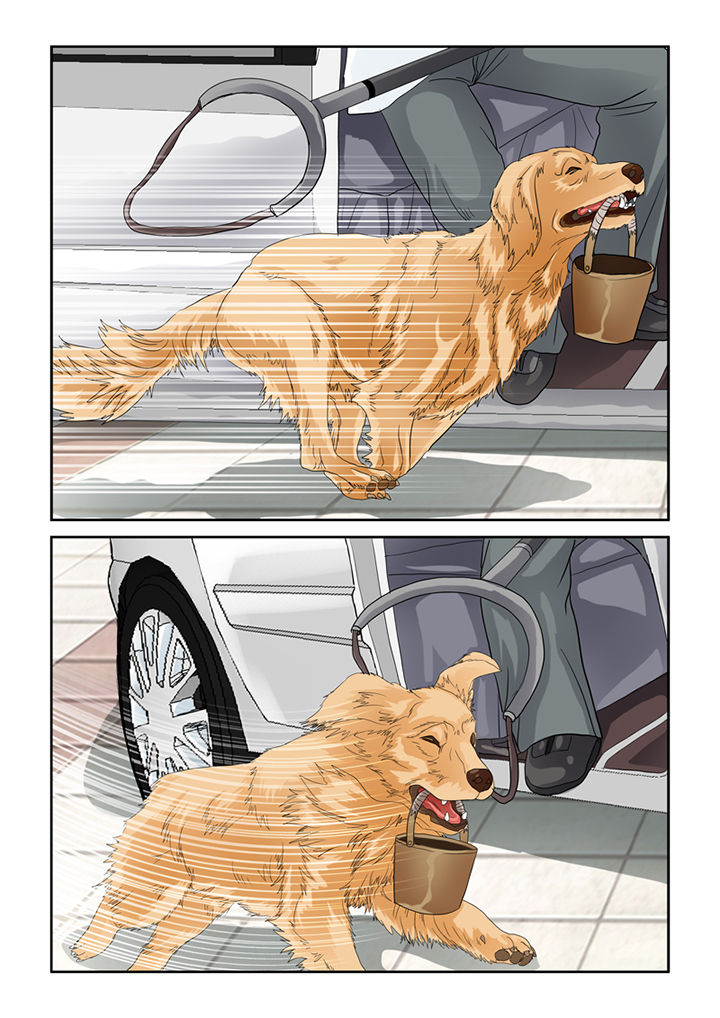 吾家猫猫大人漫画,第46章：魔猫5图