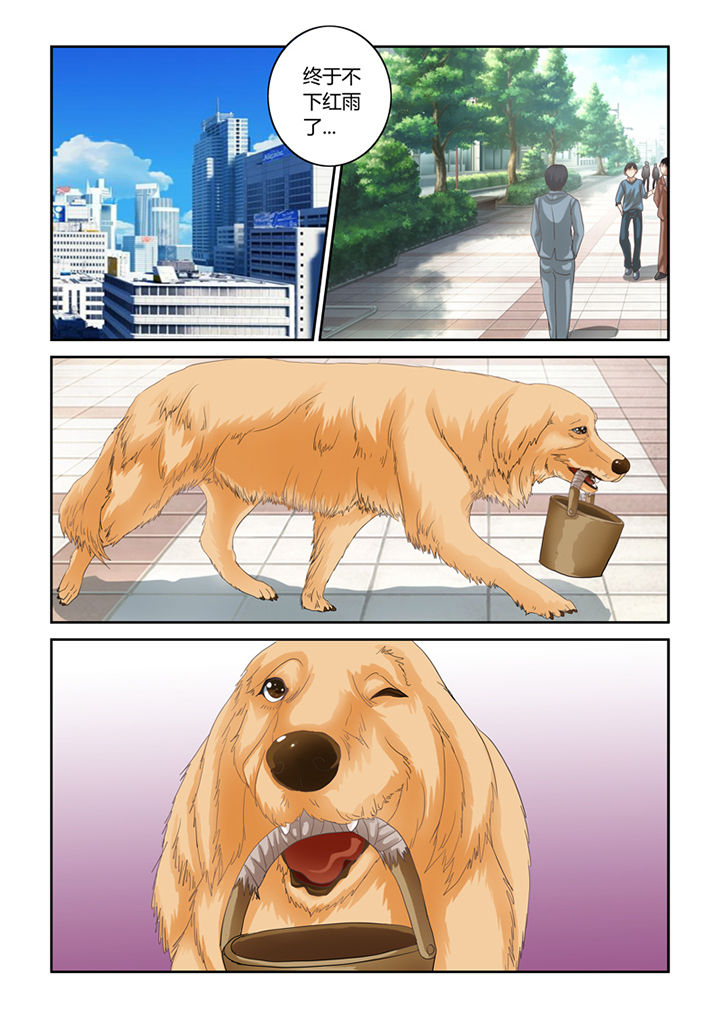 吾家猫猫大人漫画,第46章：魔猫3图