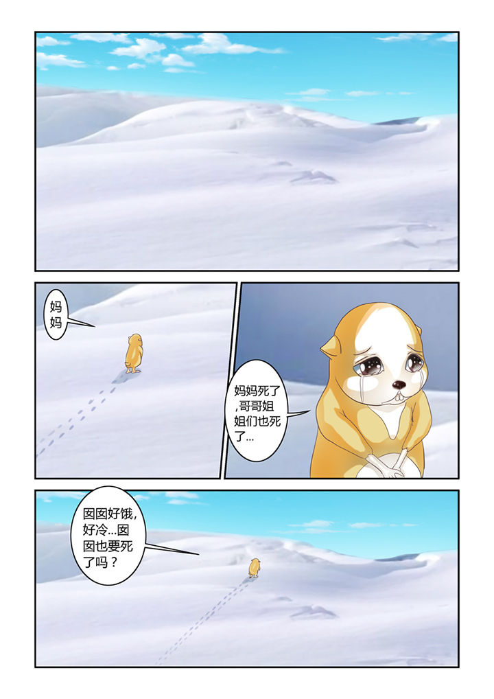 吾家猫猫大人漫画,第56章：仓鼠的回忆4图