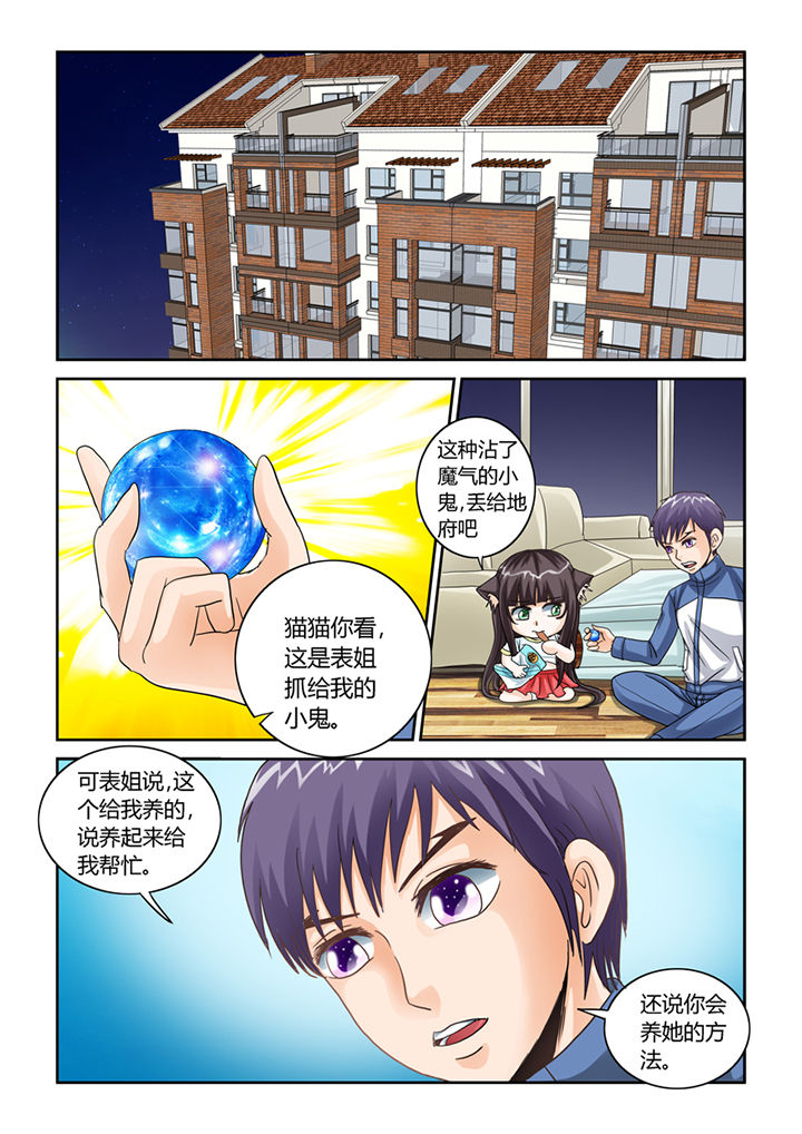 吾家猫猫大人漫画,第45章：养鬼3图