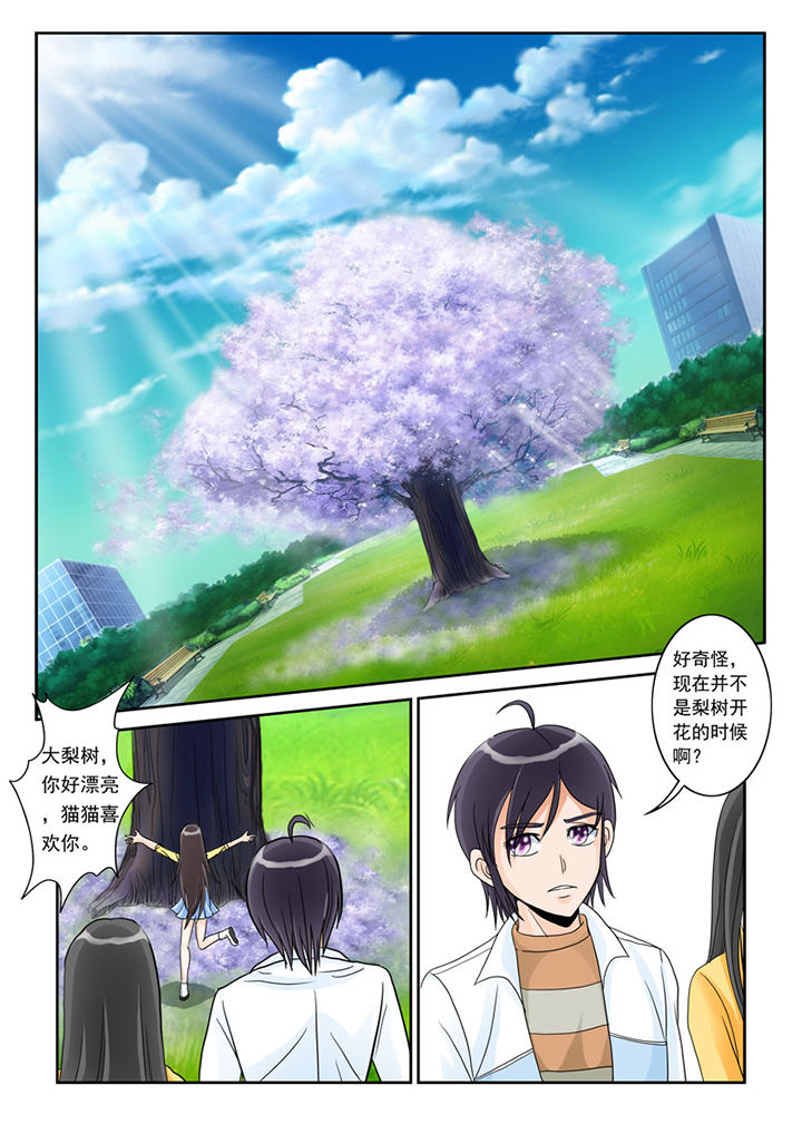 猫猫大人日文漫画,第2章：猫猫去学校4图